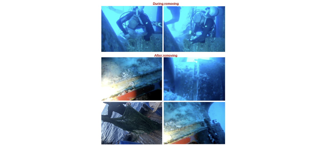 After fish net removal