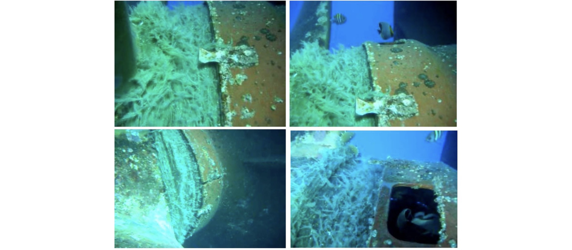 Before fish net removal